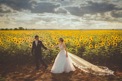 新娘和新郎走在前面的向日葵

